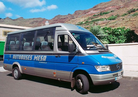 Mesa buses