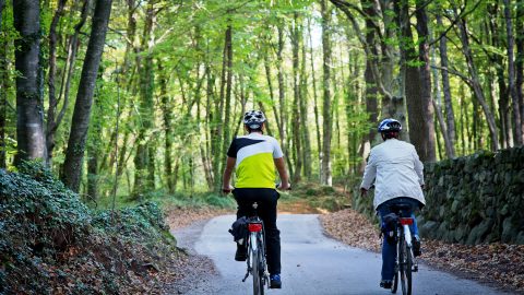 The landscapes of La Garrotxa by bicycle
