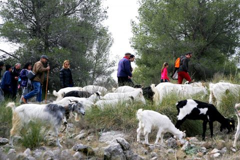 Cultural traditions in the great mountain of Murcia