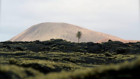 The volcano soul of Lanzarote