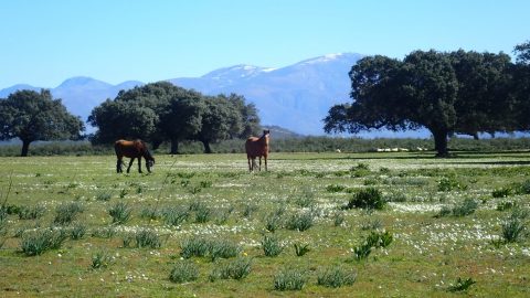 Spring: the best season for Ecotourism in Spain